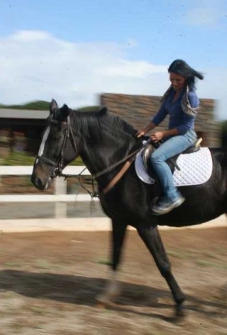  Clases en la escuela de equitación 